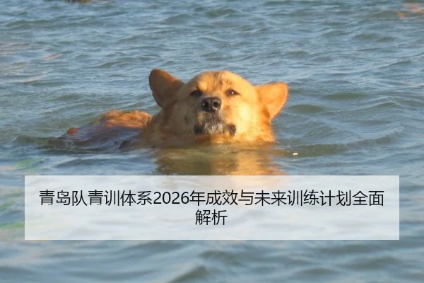 青岛队青训体系2026年成效与未来训练计划全面解析