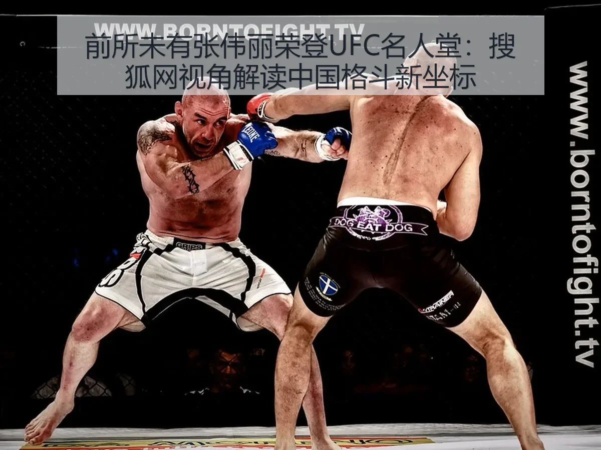 前所未有张伟丽荣登UFC名人堂:视角解读中国格斗新坐标